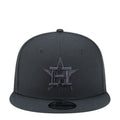 Astros Tonal Color Pack 950