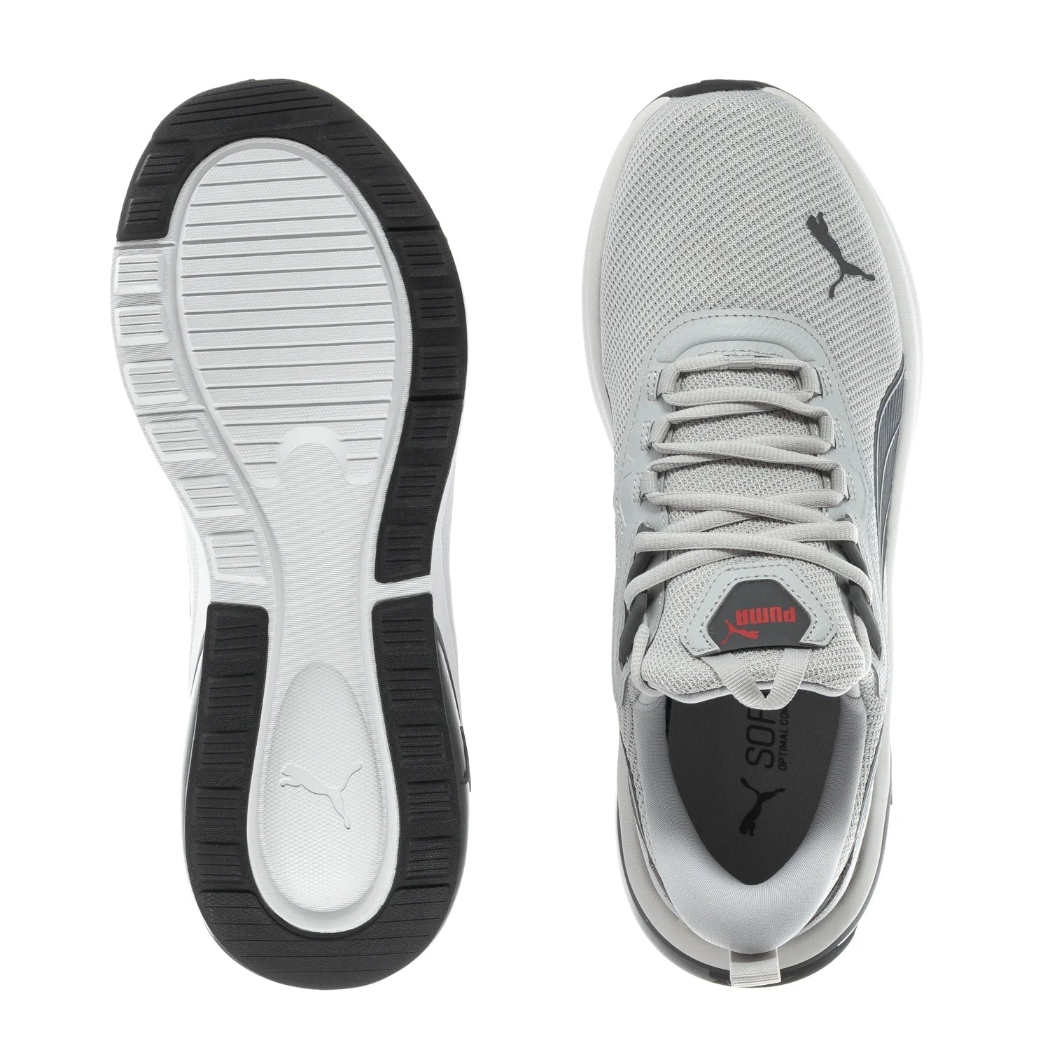 Seeker- Mens
