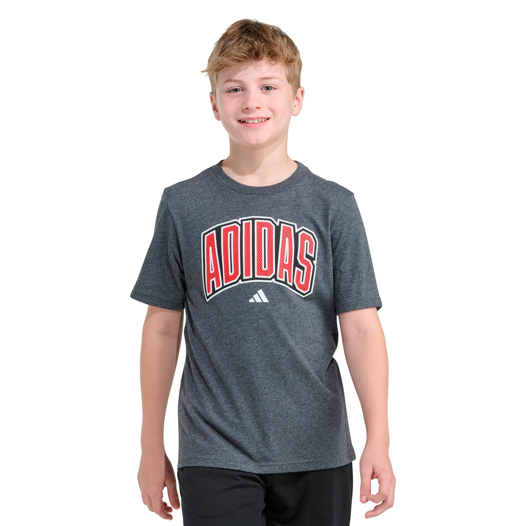 Collegiate Arch Heather Tee - Youth
