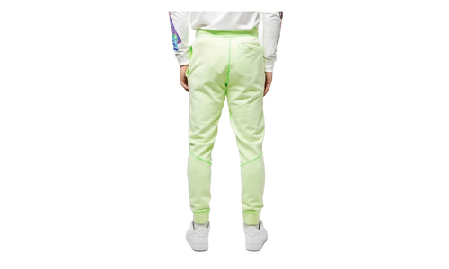 Jordan MJ Wings Washed Fleece Pants "Ghost Green" CD4575 380