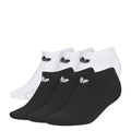6 Pack Small Originals Trefoil 2.0 No Show