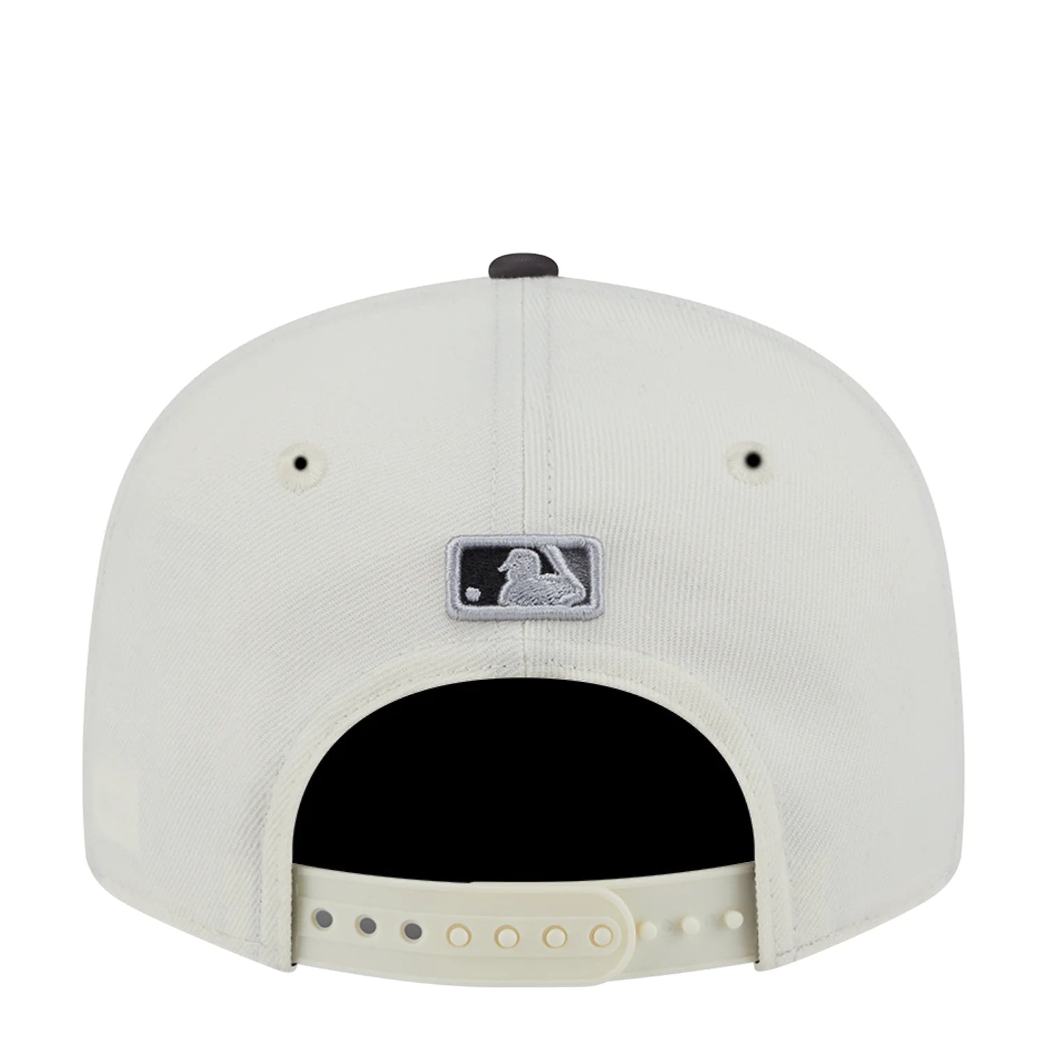 Astros Color Develop 2-Tone 950