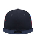 Texans Helmet OTC 950