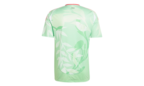 Italy 25 (Women's Team) Away Jersey "Glory Mint" JF0604